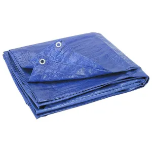 6' x 8' Blue Poly Tarps (5 mil)