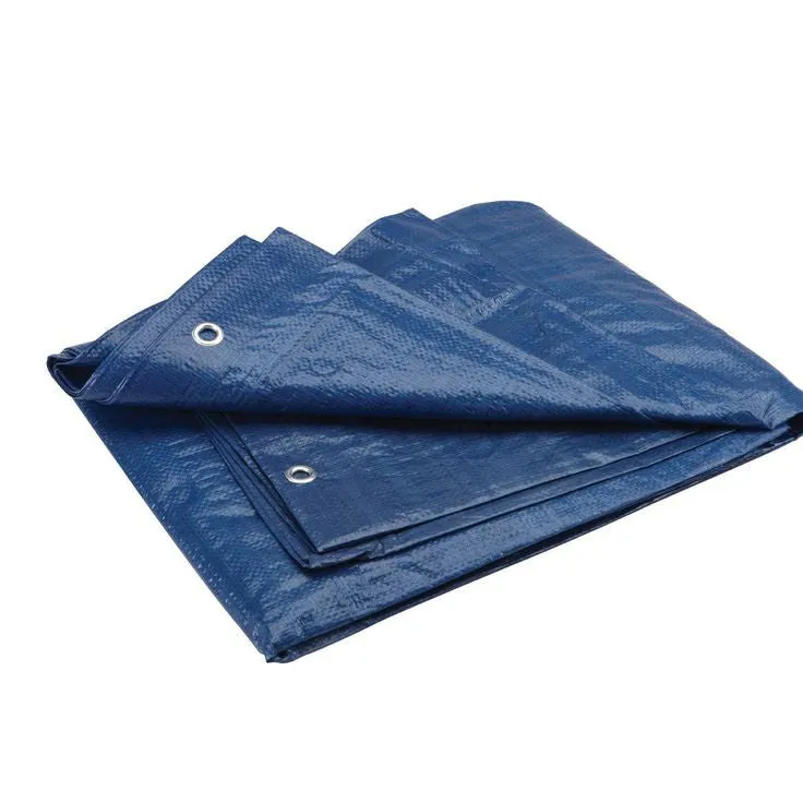 Blue Poly Tarp