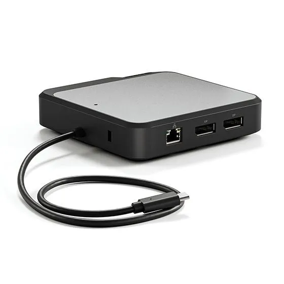 Dual Displayport Universal