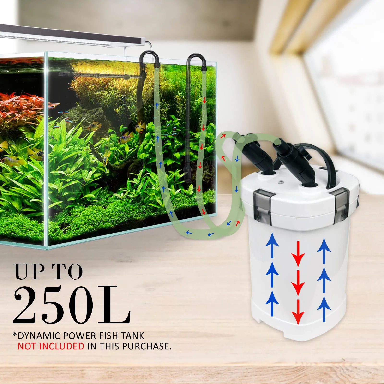 Energy Efficient 1000L/H Canister Aquarium Filter, Dynamic Power