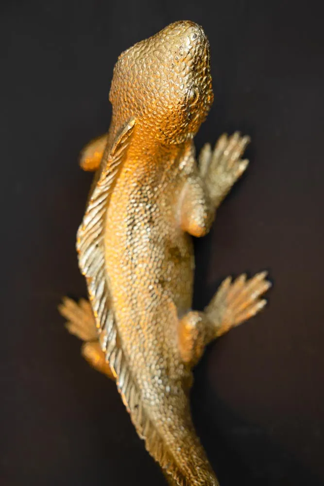 Gold Lizard Table/Wall Light