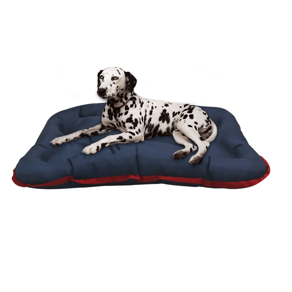 Hiputee Rectangular Shape Waterproof Polyester Fabric Bone Shaped Cushion Bed for Dogs and Cats (Blue)