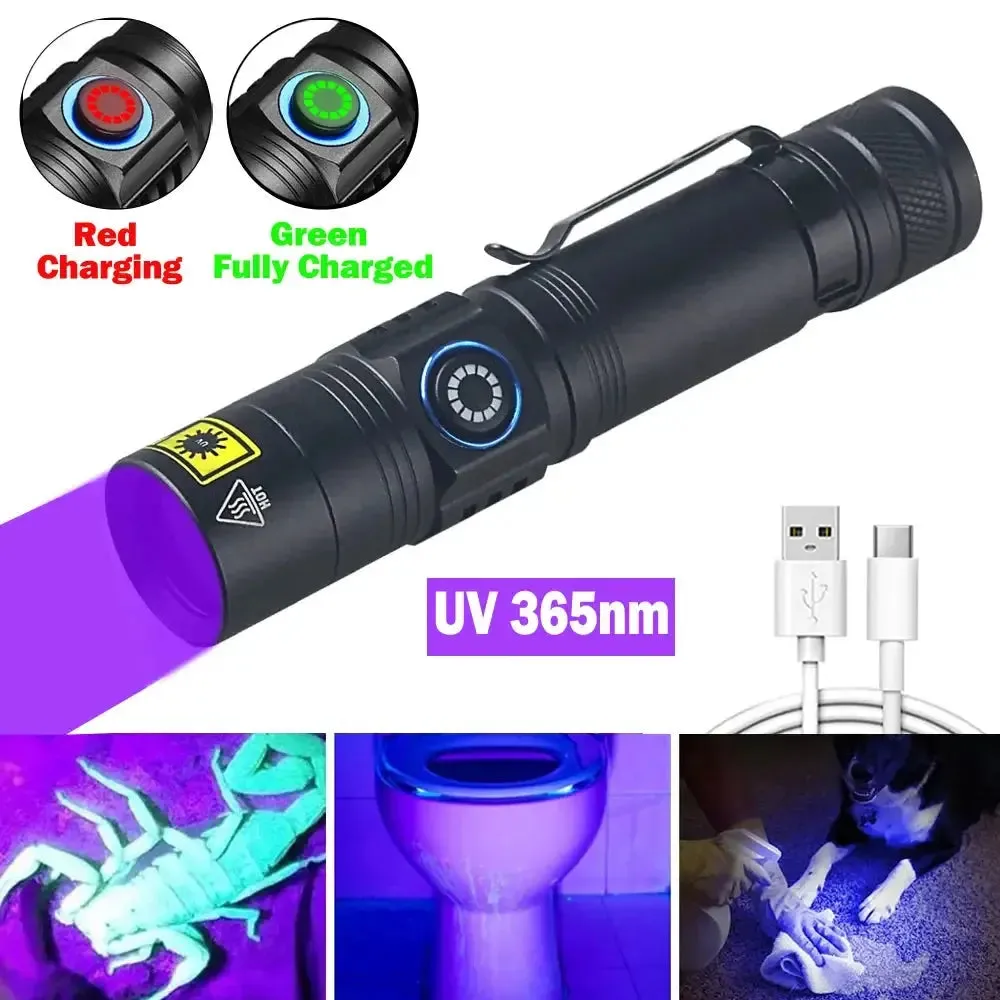 Mini Carpet Pet Urine Detector Catch Scorpion