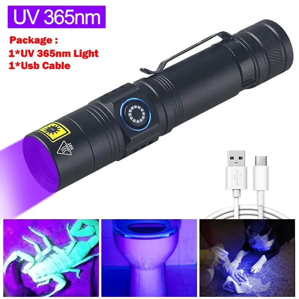 Mini Carpet Pet Urine Detector Catch Scorpion