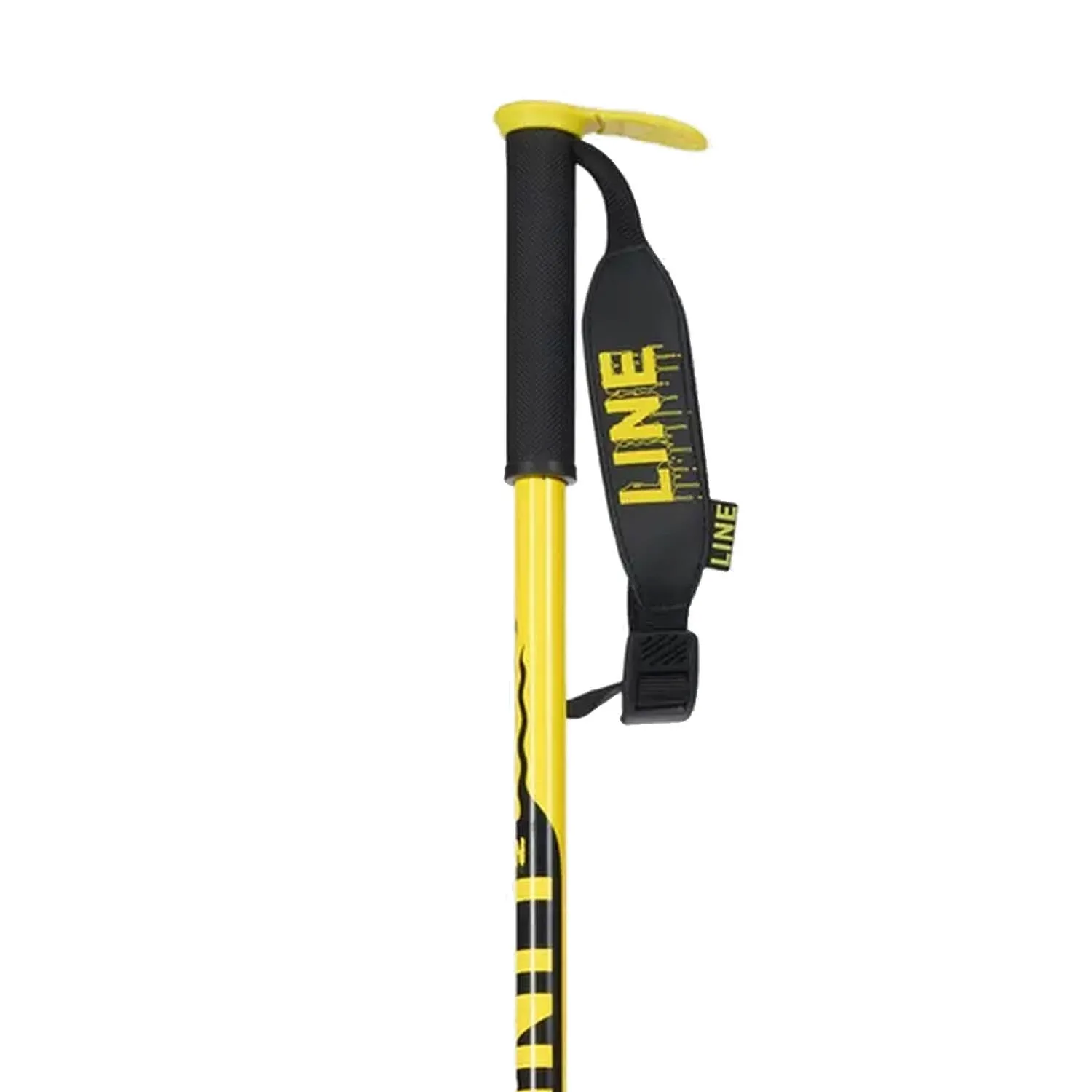 Pin Ski Poles 2024