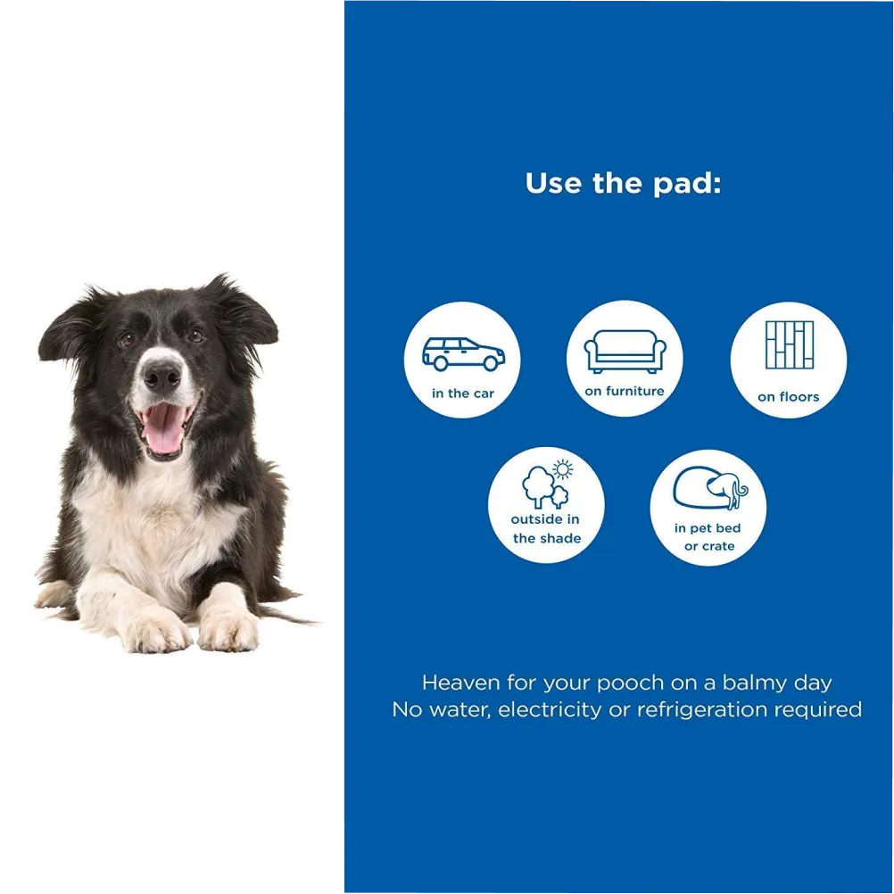 PoochBox Heat Relief Pressure Activated Cooling Mat for Dogs and Cats (Blue)